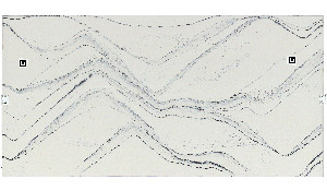 Cambria Portrush Quartz