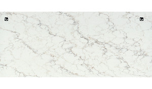 Q Quartz Calacatta Cinela Quartz
