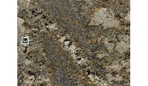 Delicatus Gold Granite