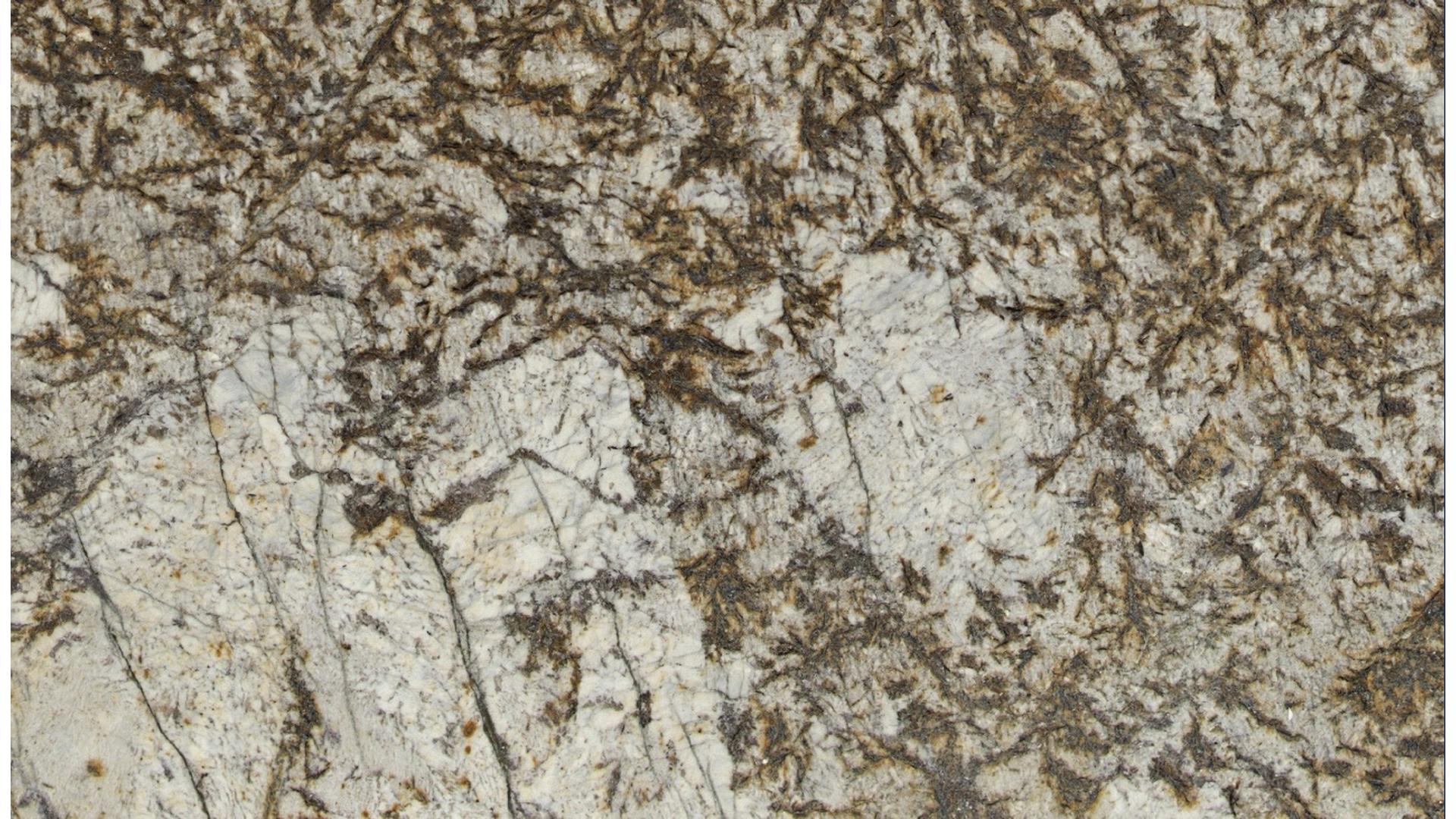 Brown Persa Granite Slabs