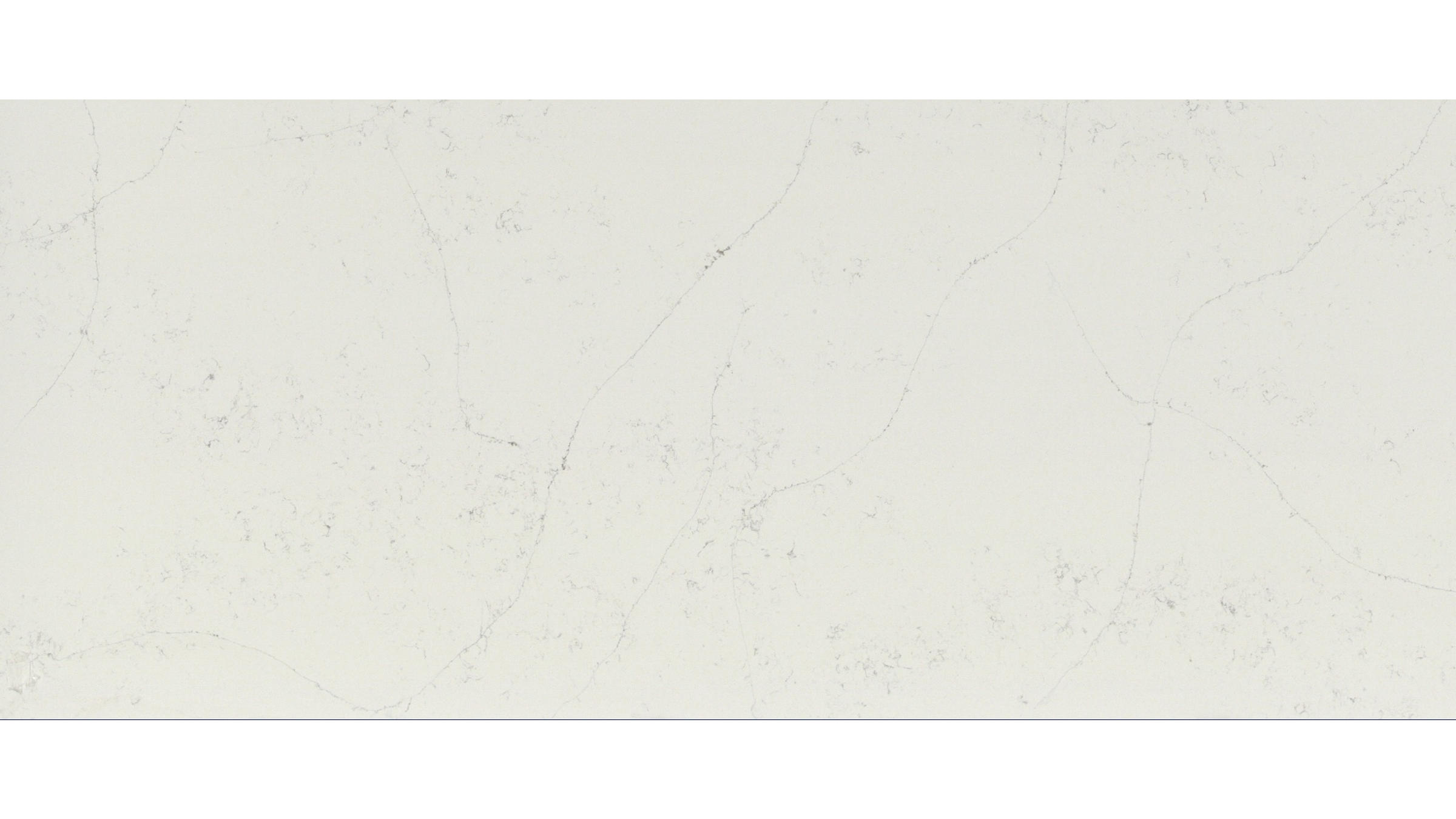 Q Quartz Calacatta Botanica Quartz Slabs