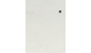 Q Quartz Calacatta Botanica Quartz