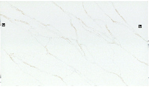 Q Quartz Calacatta Rivessa Quartz