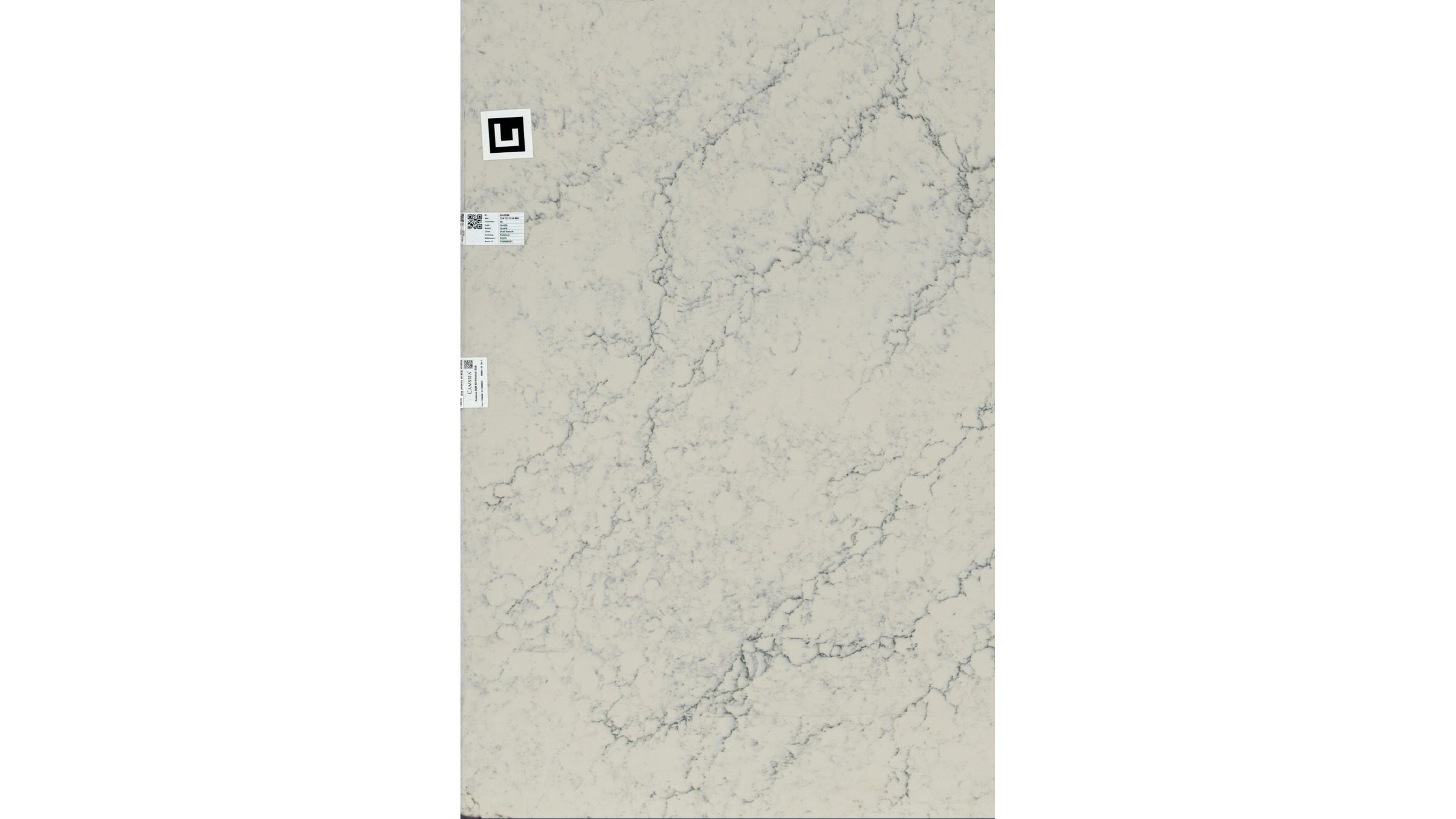 Quartz Shell Beach Quartz Slabs
