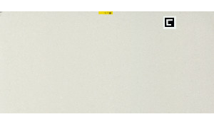Caesarstone Organic White Quartz