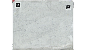 White Carrara - Dual Finish Marble