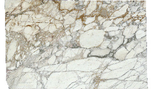 Arabescato Vagli Antico Marble