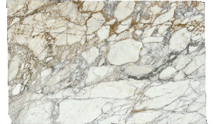 Arabescato Vagli Antico Marble