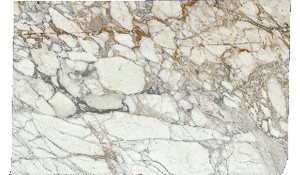 Arabescato Vagli Antico Marble