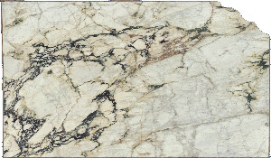 Calacatta Vagli Viola Marble