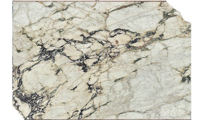 Calacatta Vagli Viola Marble