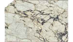 Calacatta Vagli Viola Marble