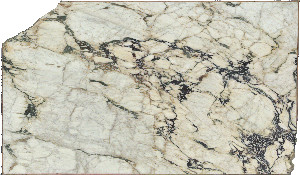 Calacatta Vagli Viola Marble