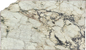Calacatta Vagli Viola Marble