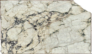 Calacatta Vagli Viola Marble