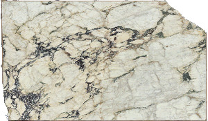 Calacatta Vagli Viola Marble