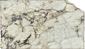 Calacatta Vagli Viola Marble
