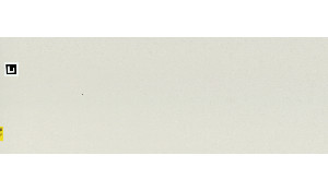 Caesarstone Organic White Quartz