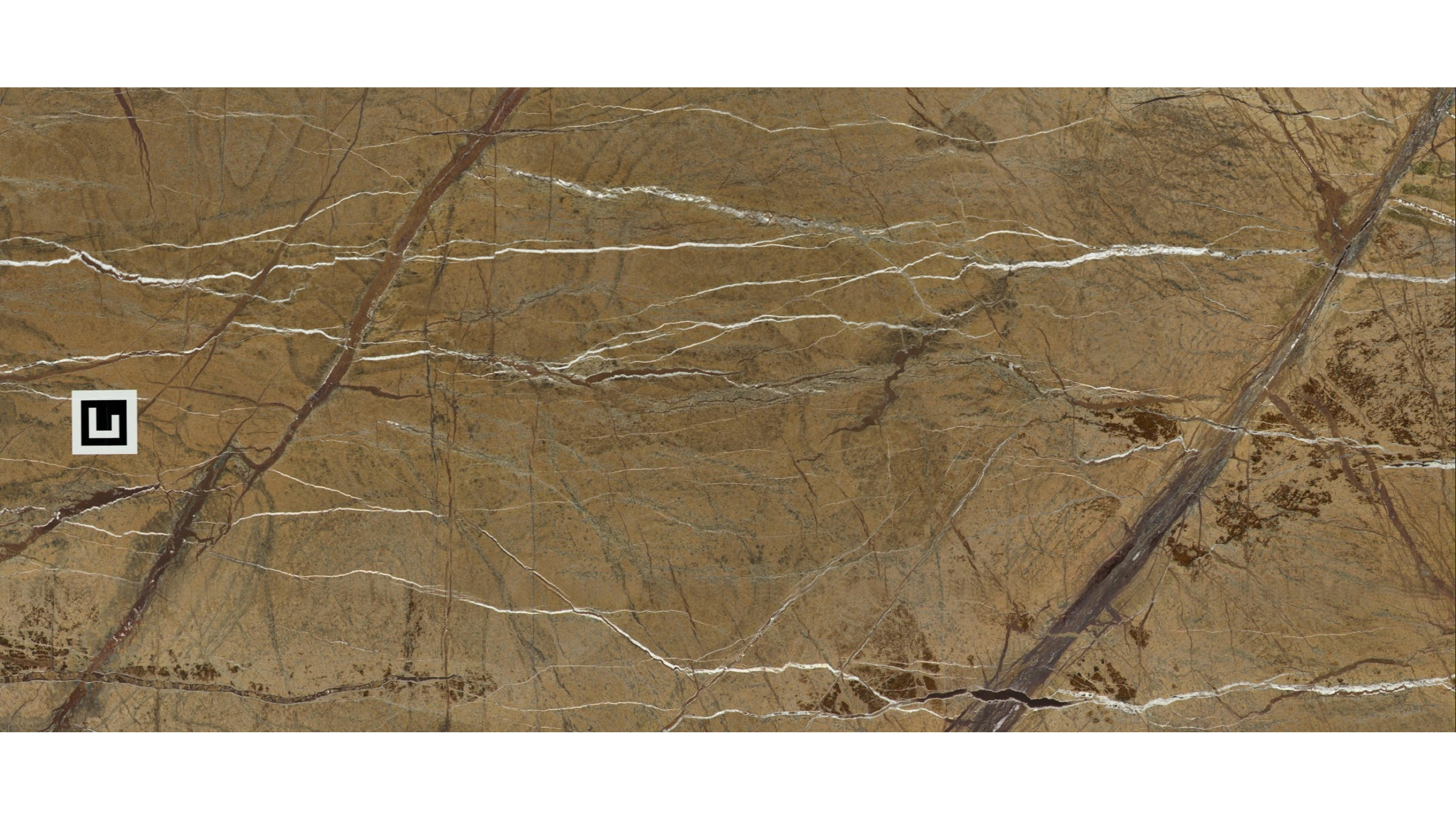Rainforest Brown Marble Slabs