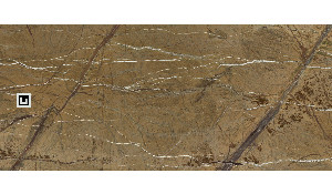 Rainforest Brown Marble