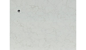 Q Quartz Calacatta Fioressa Quartz
