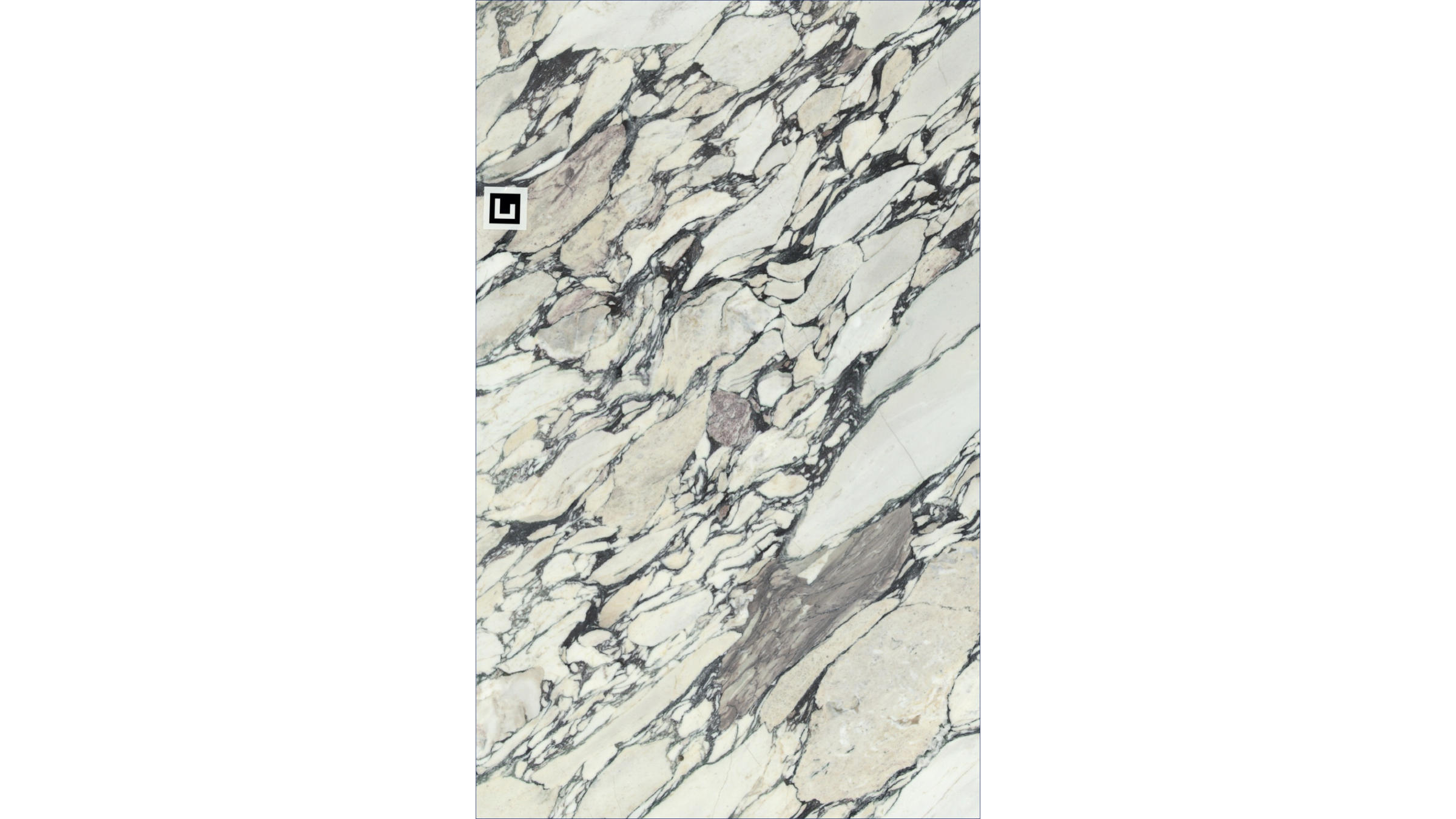 Calacatta Monet Viola Marble Slabs