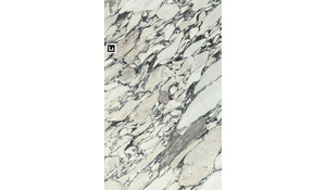 Calacatta Monet Viola Marble