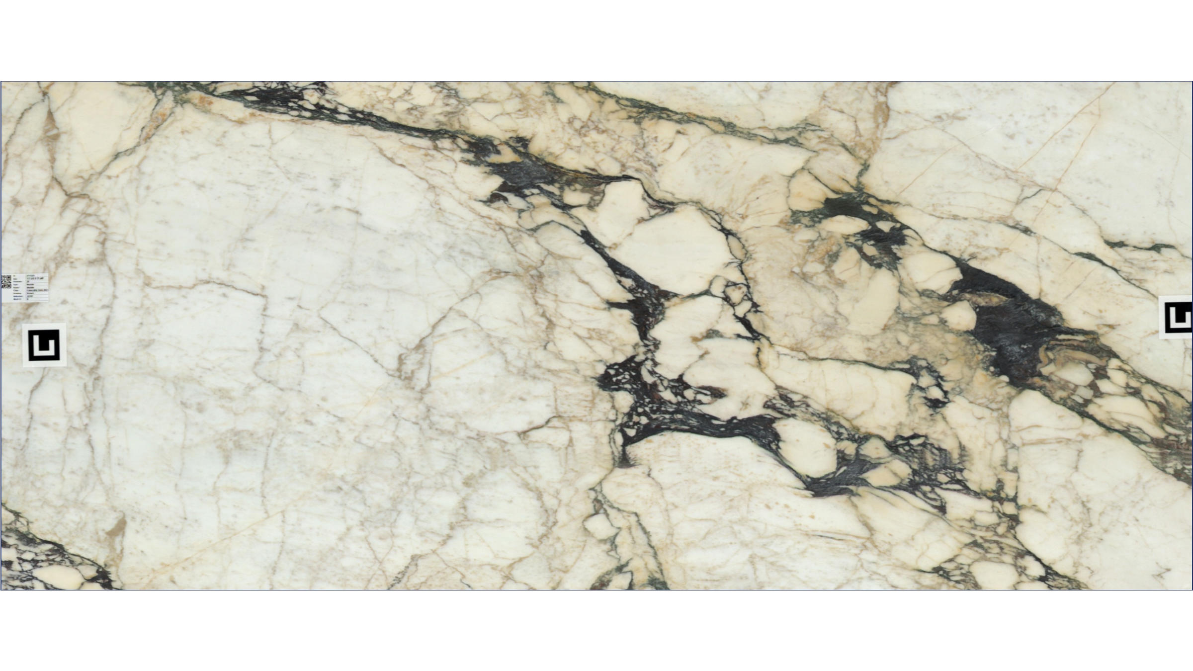 Calacatta Viola Monet Marble Slabs