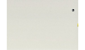 Caesarstone Organic White Quartz