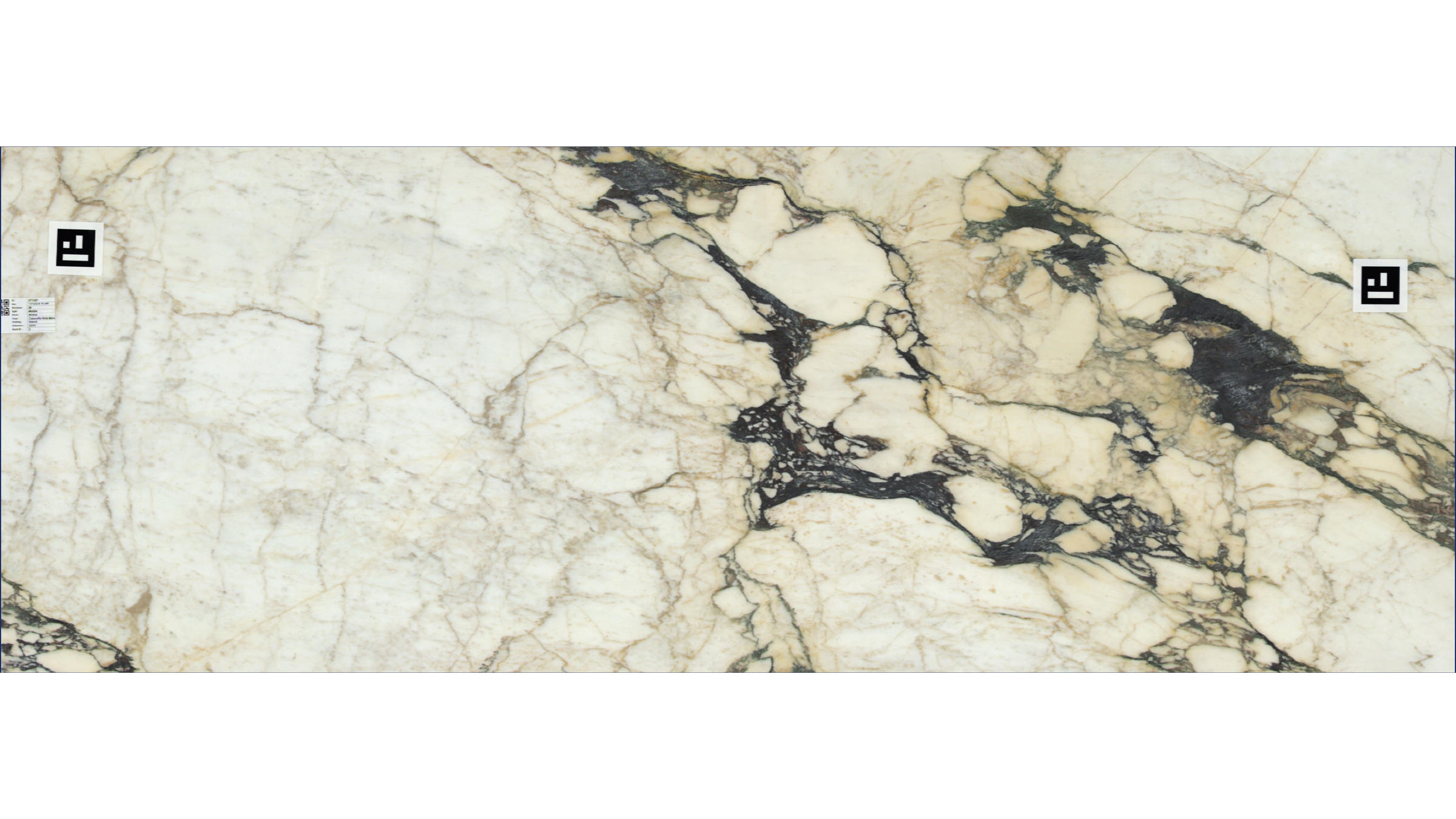 Calacatta Viola Monet Marble Slabs