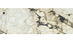 Calacatta Viola Monet Marble
