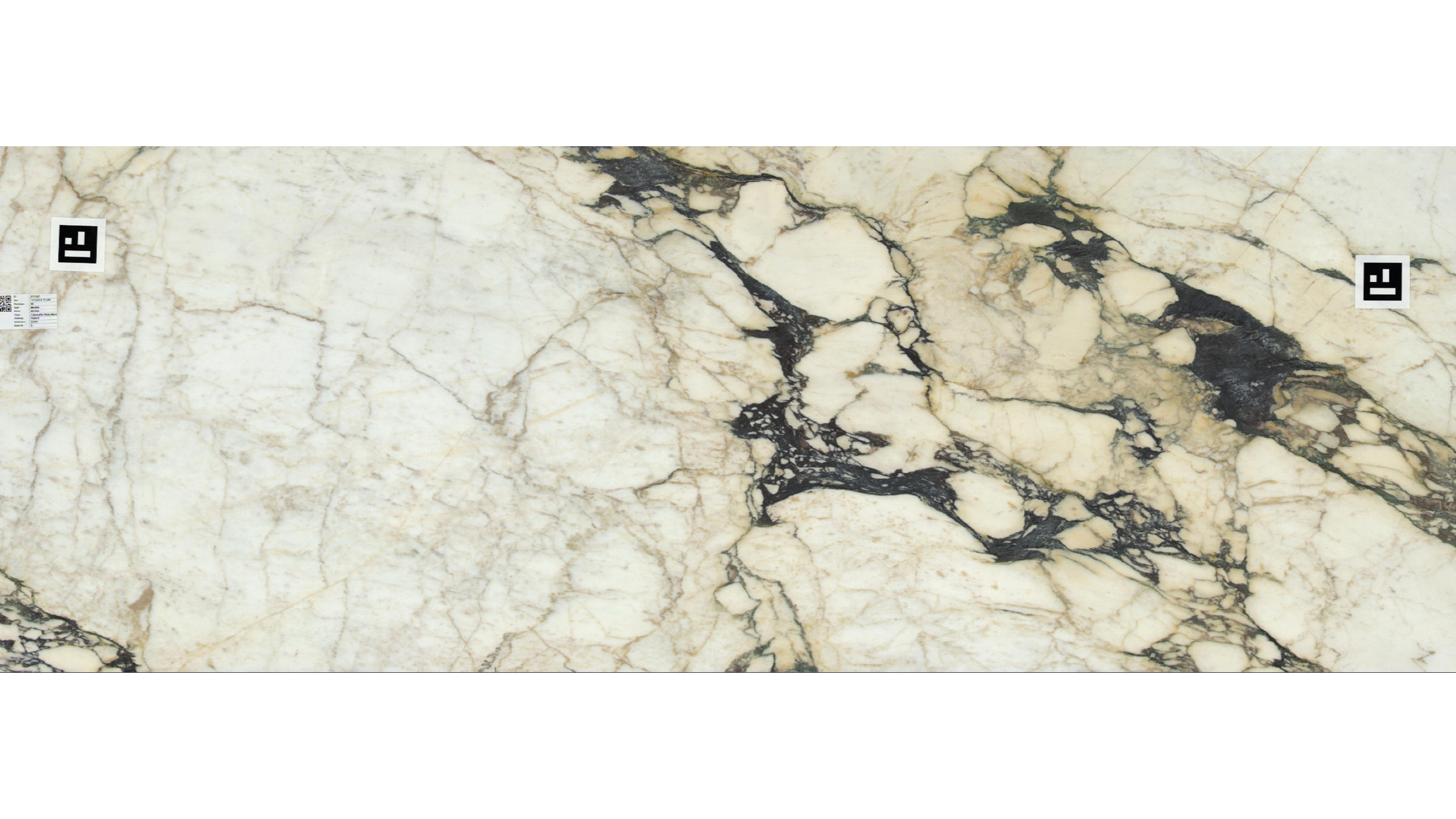 Calacatta Viola Monet Marble Slabs