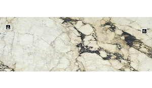 Calacatta Viola Monet Marble
