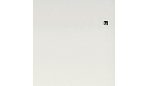Q Quartz Perla White Quartz
