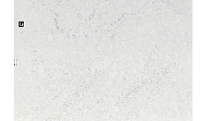 Cambria Whitendale Quartz