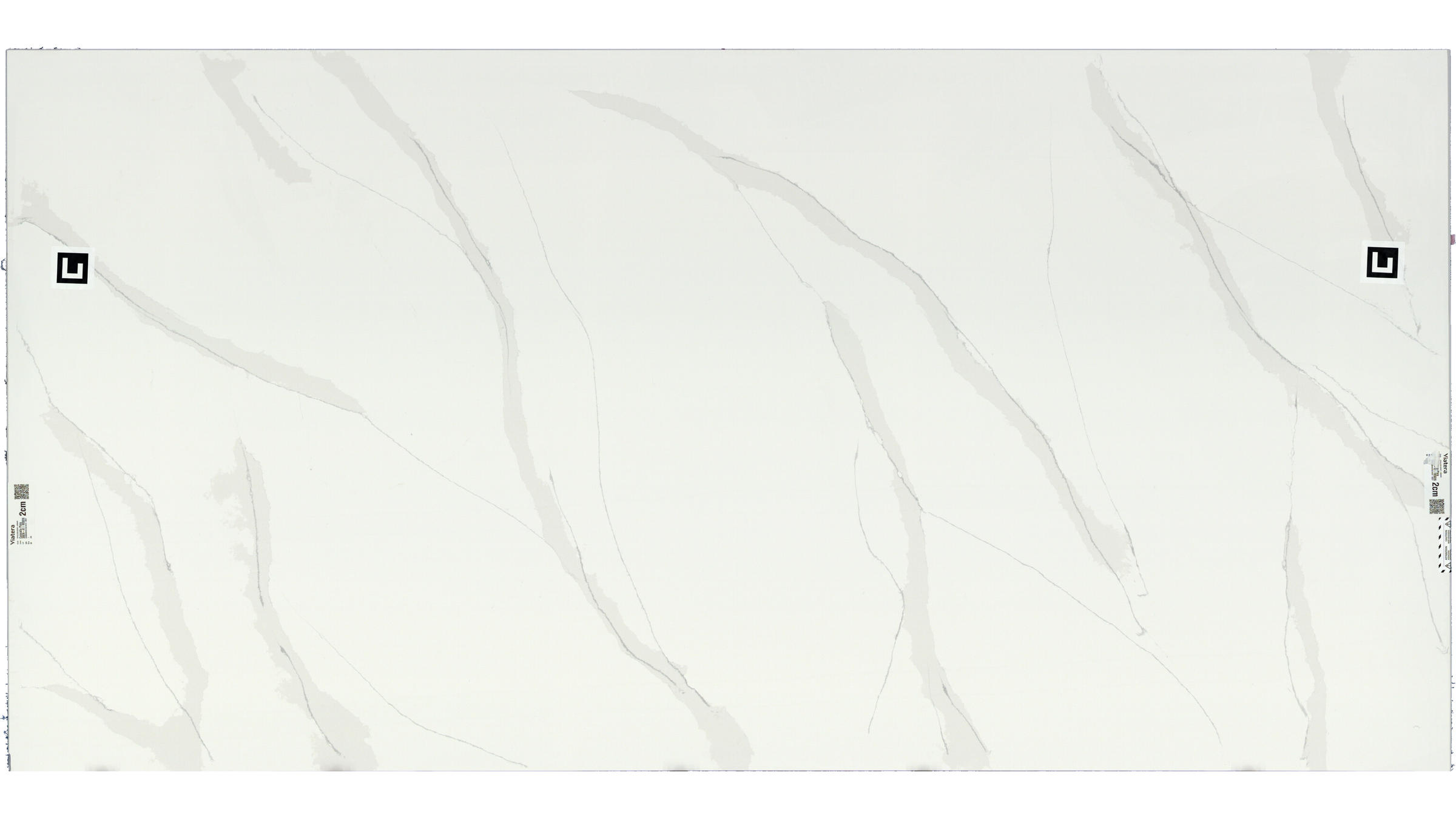 Viatera Calacatta Plata Quartz Slabs