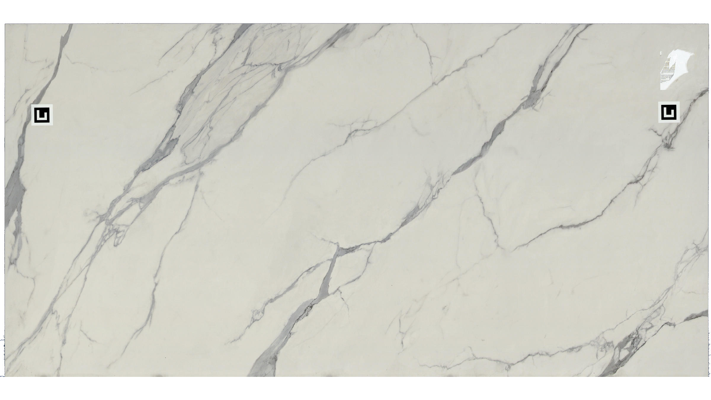 Sterling Calacatta Porcelain Slabs