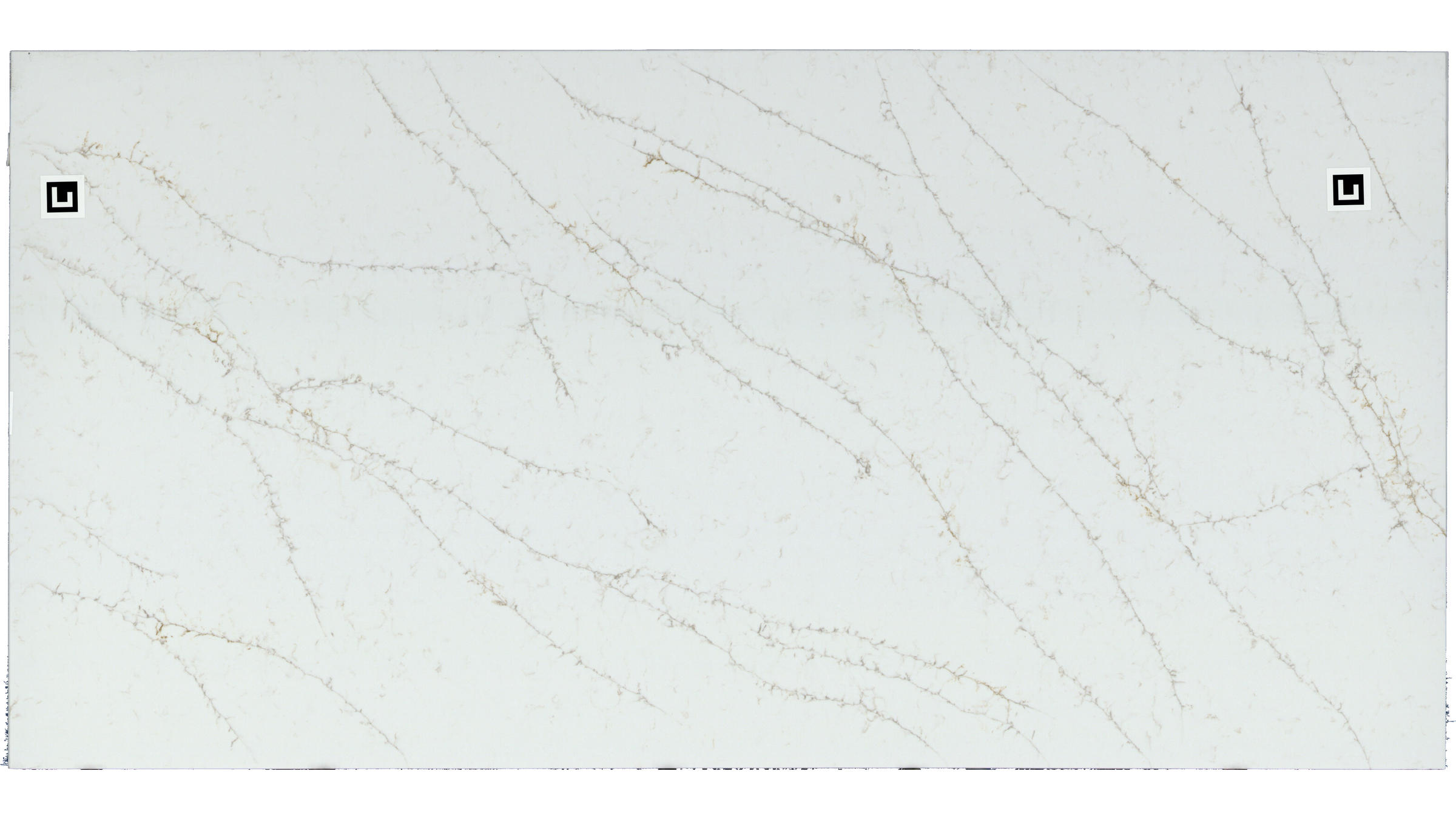Q Quartz Calacatta Delios Quartz Slabs
