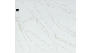 Q Quartz Calacatta Delios Quartz