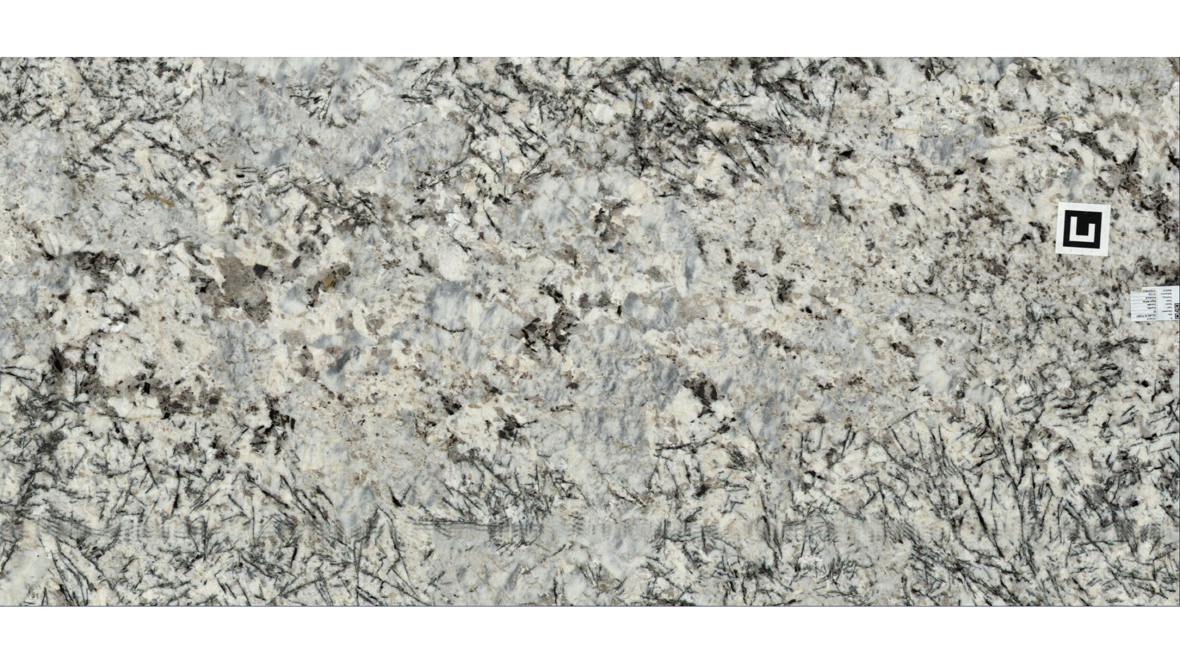 Rigel White Granite Slabs