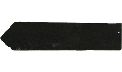 Oxwich Green Cambria