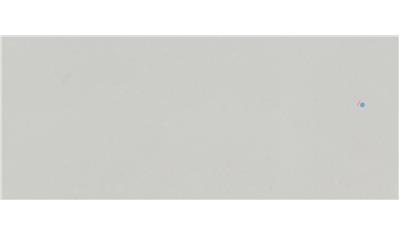 Organic White Caesarstone