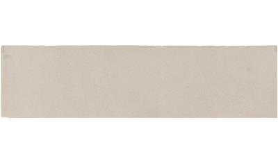 Adirondack Birch Radianz