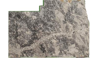 Cold Springs Granite