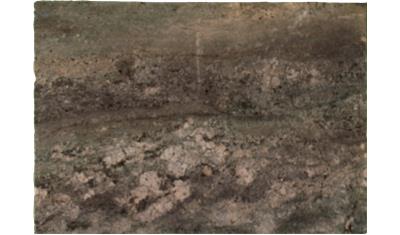 Fire Bordeaux Granite