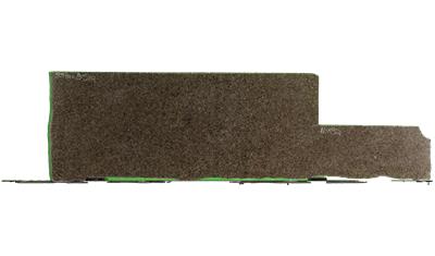 Tropical Brown Granite