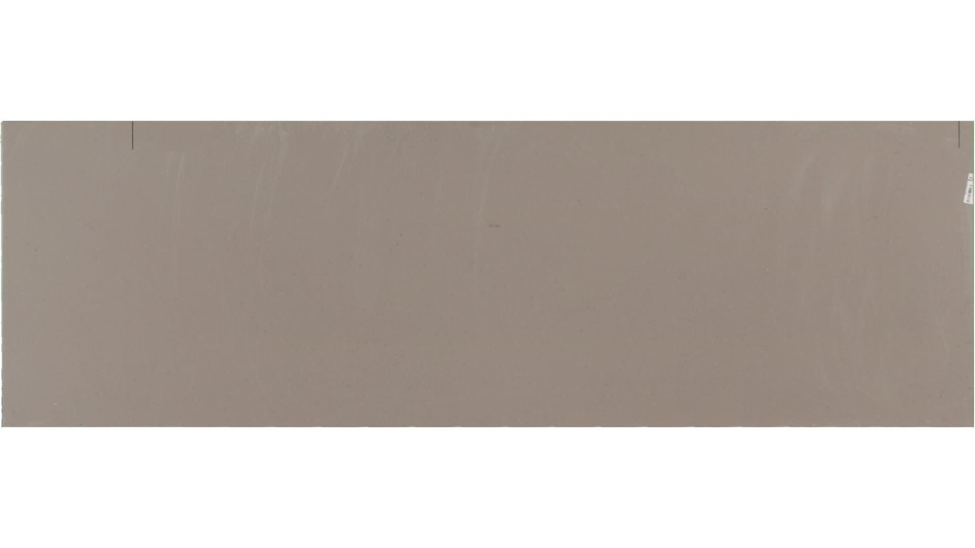 Fossil Grey Quartz Slabs