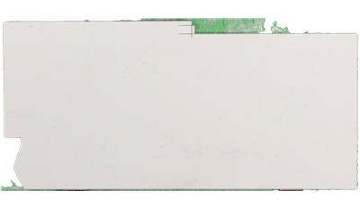 Calacatta Botanica Quartz