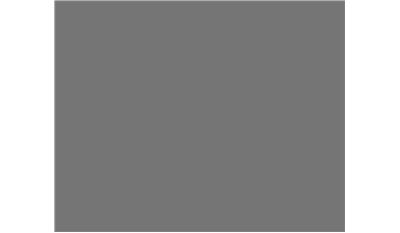 New Venetian Gold Granite