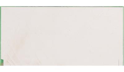 Calacatta Botanica Quartz